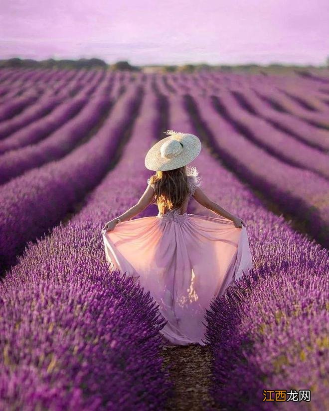 春天来了，西班牙鲜花盛开，好美啊