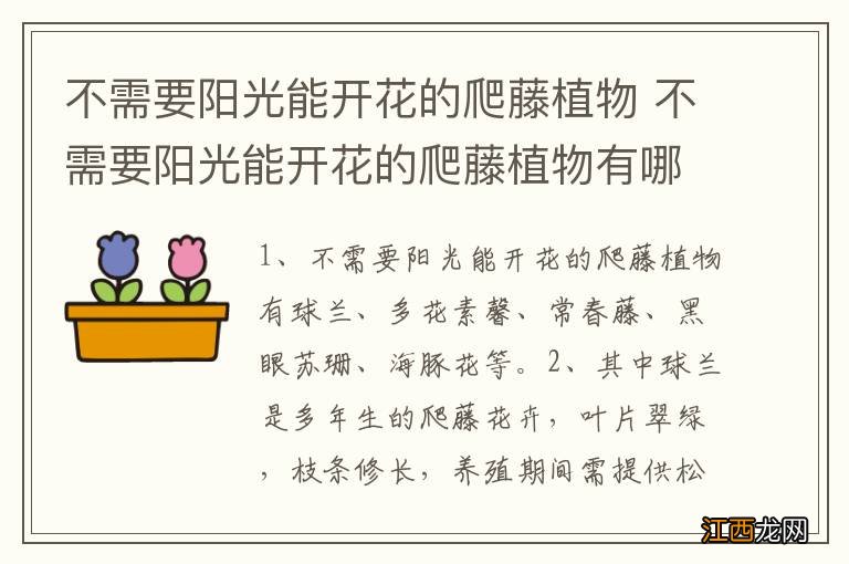 不需要阳光能开花的爬藤植物 不需要阳光能开花的爬藤植物有哪些呢