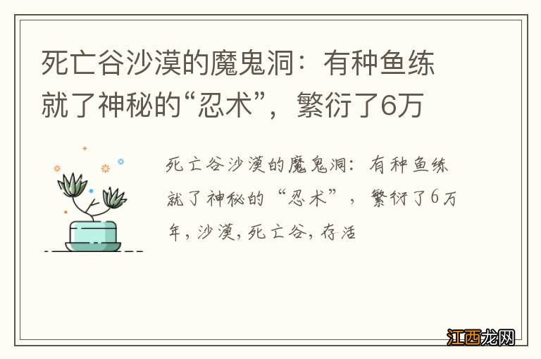 死亡谷沙漠的魔鬼洞：有种鱼练就了神秘的“忍术”，繁衍了6万年