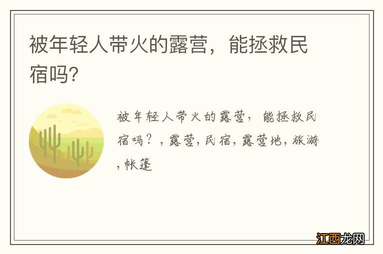 被年轻人带火的露营，能拯救民宿吗？