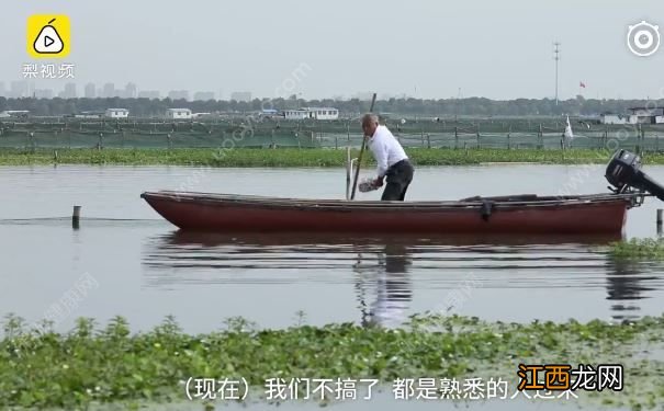 去阳澄湖吃正宗大闸蟹？当地人：正宗的你肯定买不到