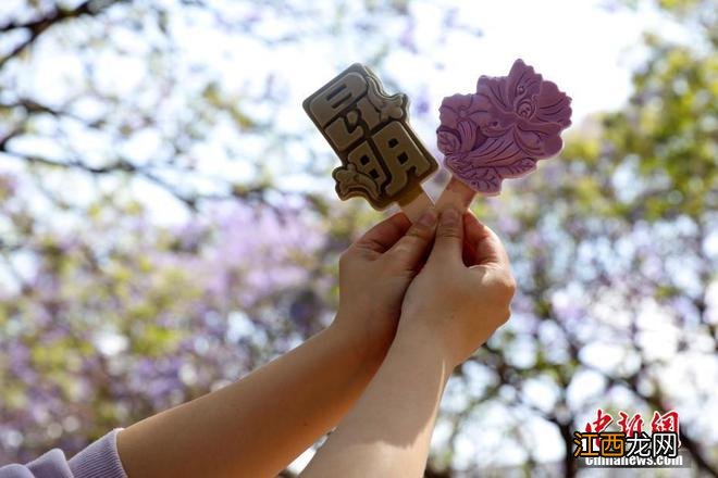 初夏时节 多地花卉绽放吸引游人