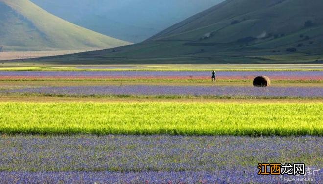 意大利无人村的超唯美花海，大自然的调色盘，还支持云赏花