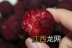 花胶的营养价值有什么？花胶的食用方法有什么？