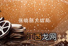 张晓丽大结局 张晓丽最后的结局