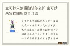 宝可梦朱紫猫鼬斩怎么抓 宝可梦朱紫猫鼬斩位置介绍