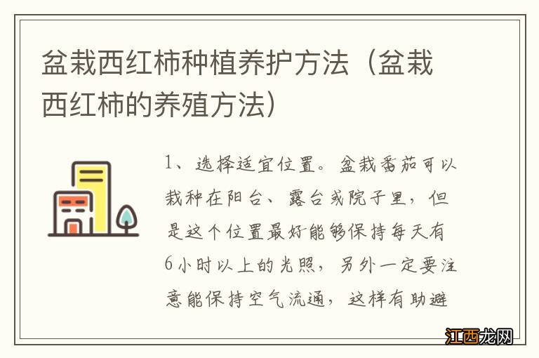 盆栽西红柿的养殖方法 盆栽西红柿种植养护方法