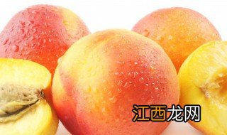 桃树种植方法简单,桃树种植方法简单图片