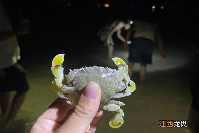 这个夏天，总要来趟涠洲岛吧