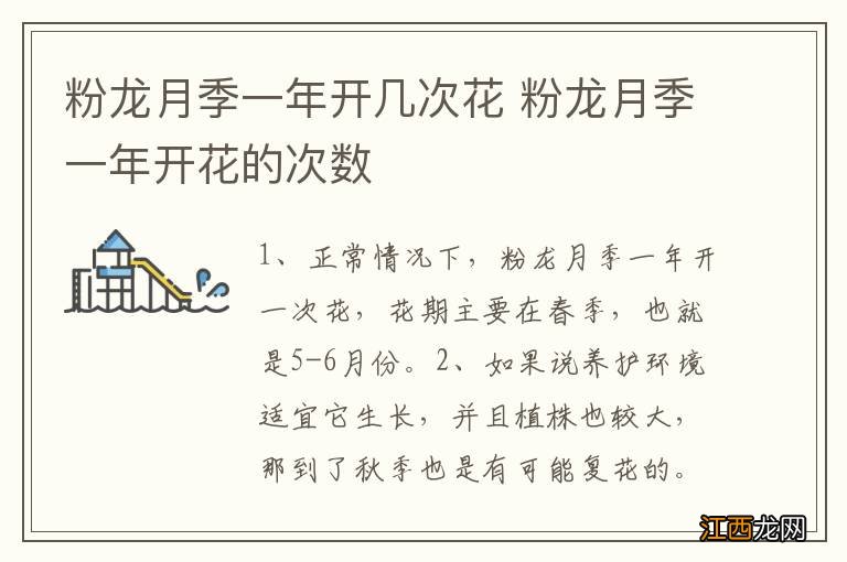 粉龙月季一年开几次花 粉龙月季一年开花的次数