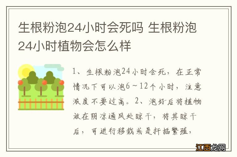 生根粉泡24小时会死吗 生根粉泡24小时植物会怎么样