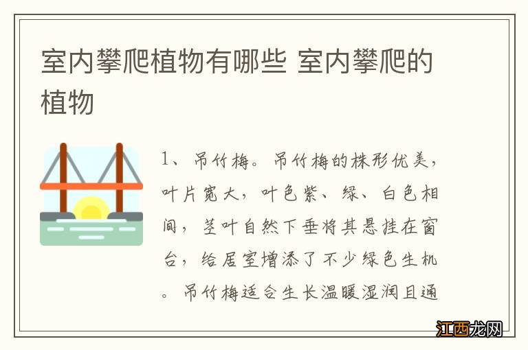 室内攀爬植物有哪些 室内攀爬的植物