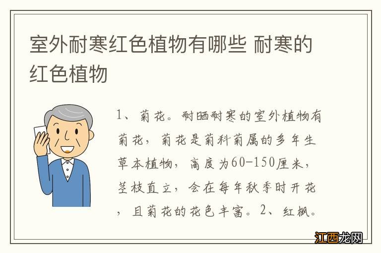 室外耐寒红色植物有哪些 耐寒的红色植物