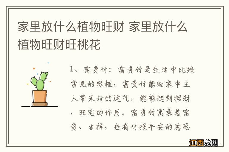 家里放什么植物旺财 家里放什么植物旺财旺桃花