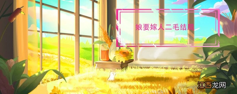 娘要嫁人二毛结局 娘要嫁人的二毛怎么样了