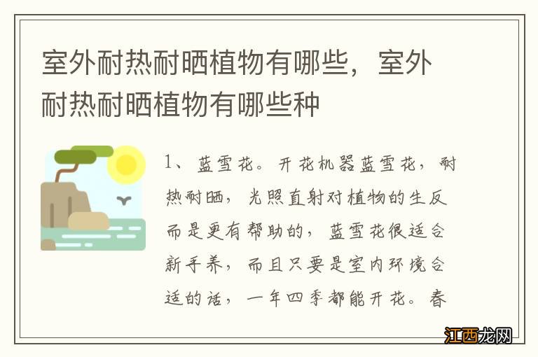 室外耐热耐晒植物有哪些，室外耐热耐晒植物有哪些种