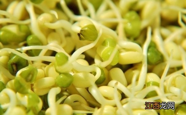 绿豆芽的营养价值高吗？绿豆芽的做菜技巧是什么？