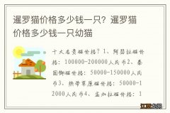 暹罗猫价格多少钱一只？暹罗猫价格多少钱一只幼猫