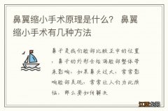 鼻翼缩小手术原理是什么？ 鼻翼缩小手术有几种方法