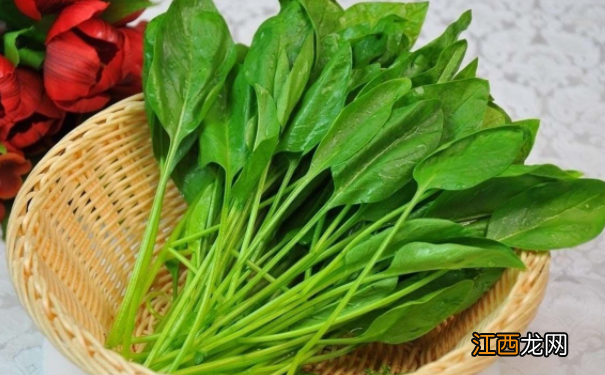 菠菜的营养价值有哪些呢?菠菜有哪些营养价值呢?