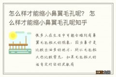 怎么样才能缩小鼻翼毛孔呢？ 怎么样才能缩小鼻翼毛孔呢知乎