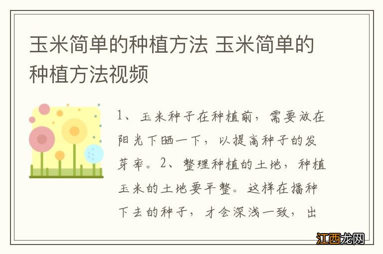 玉米简单的种植方法 玉米简单的种植方法视频