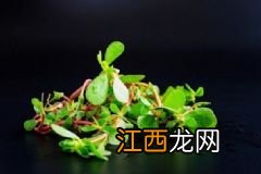 秋冬季节鸡汤怎么做好喝？美味鸡汤的家常做法