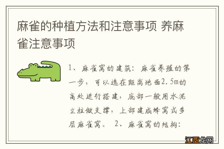 麻雀的种植方法和注意事项 养麻雀注意事项