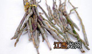 家庭石斛种植方法视频 家庭石斛种植方法视频教程