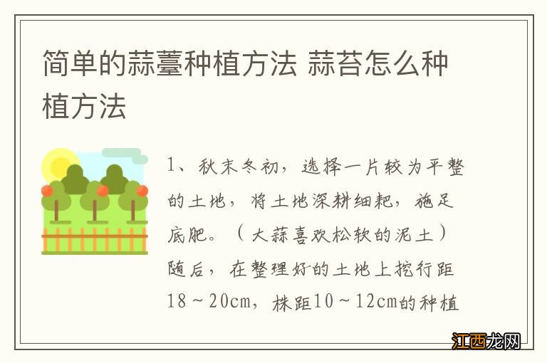 简单的蒜薹种植方法 蒜苔怎么种植方法