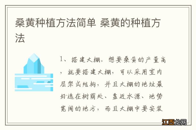 桑黄种植方法简单 桑黄的种植方法