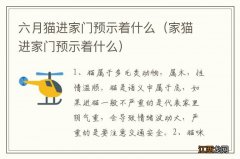 家猫进家门预示着什么 六月猫进家门预示着什么