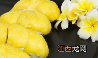 榴莲核怎样种榴莲 榴莲核家庭种植方法