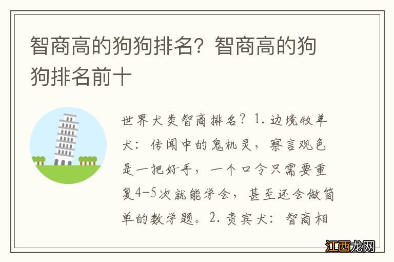 智商高的狗狗排名？智商高的狗狗排名前十