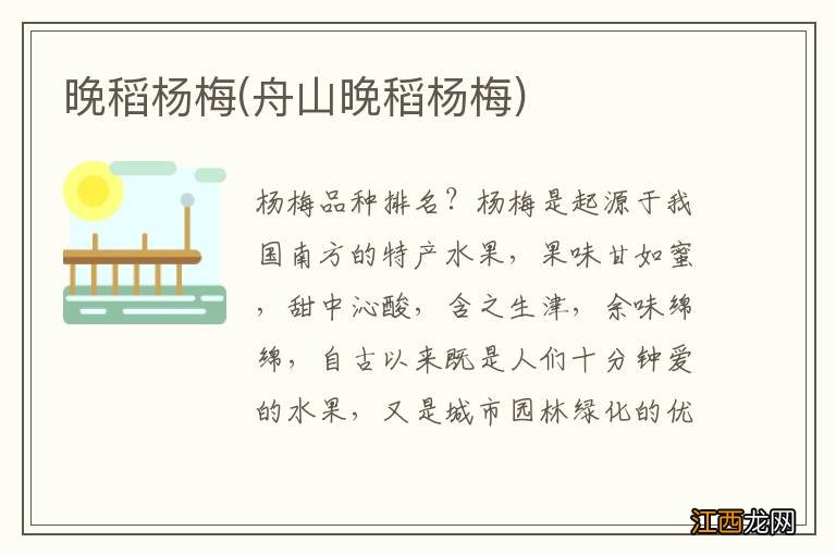 舟山晚稻杨梅 晚稻杨梅