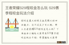 王者荣耀S29程咬金怎么玩 S29赛季程咬金玩法介绍