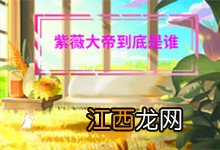 紫薇大帝到底是谁,紫薇大帝到底是谁呢