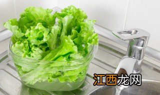 生菜家庭种植方法 生菜家庭种植方法视频