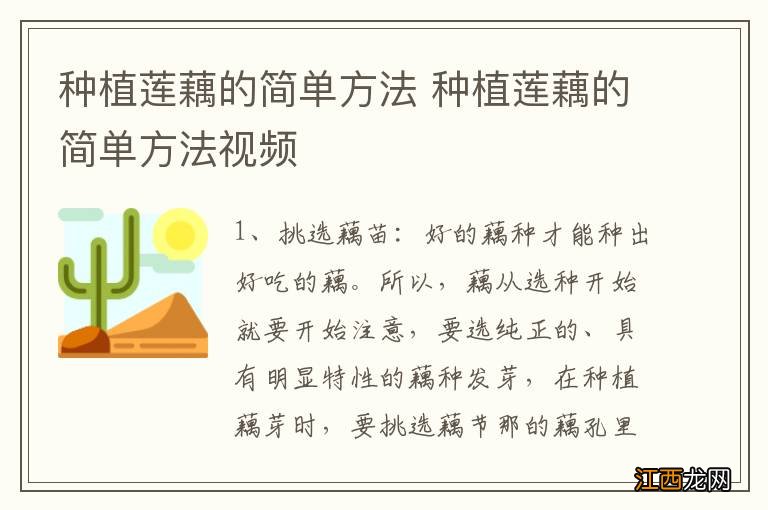 种植莲藕的简单方法 种植莲藕的简单方法视频