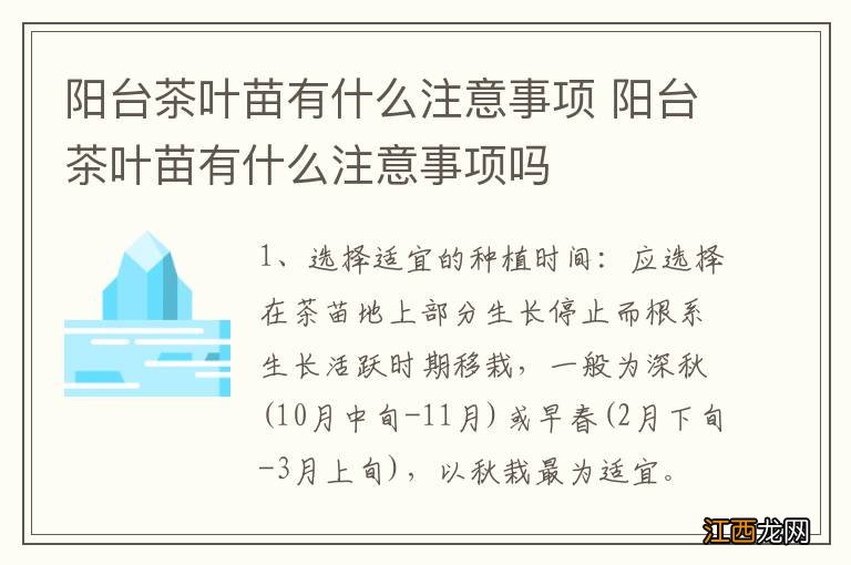 阳台茶叶苗有什么注意事项 阳台茶叶苗有什么注意事项吗