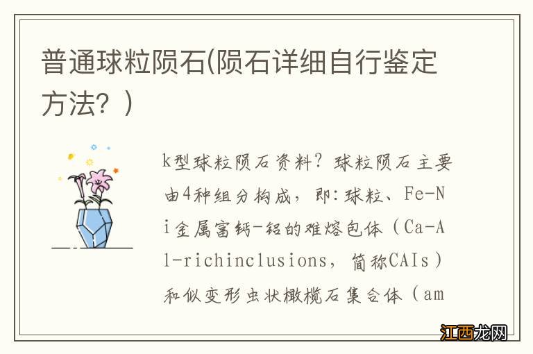 陨石详细自行鉴定方法？ 普通球粒陨石