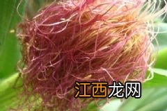 降压减脂的食疗偏方有哪些？高血压患者饮食禁忌主要有哪些？