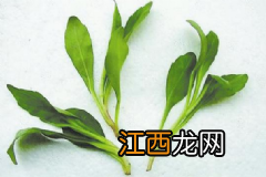 紫菜汤能够抗癌补脑吗？紫菜的食用注意项有哪些？