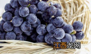 巨峰葡萄的产地在哪里呢,巨峰葡萄原产地