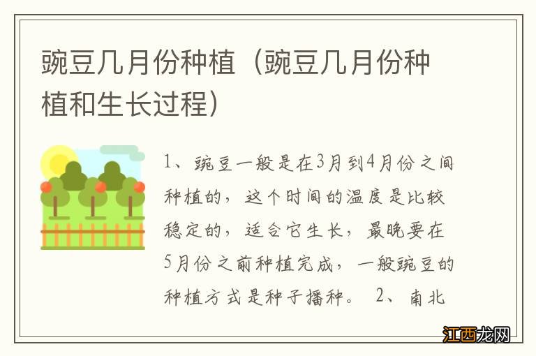 豌豆几月份种植和生长过程 豌豆几月份种植