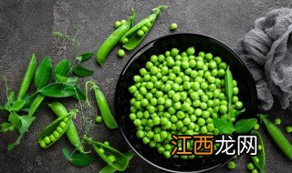 豌豆几月份种植和生长过程 豌豆几月份种植