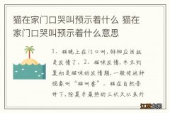 猫在家门口哭叫预示着什么 猫在家门口哭叫预示着什么意思