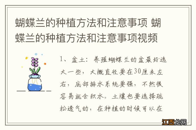 蝴蝶兰的种植方法和注意事项 蝴蝶兰的种植方法和注意事项视频