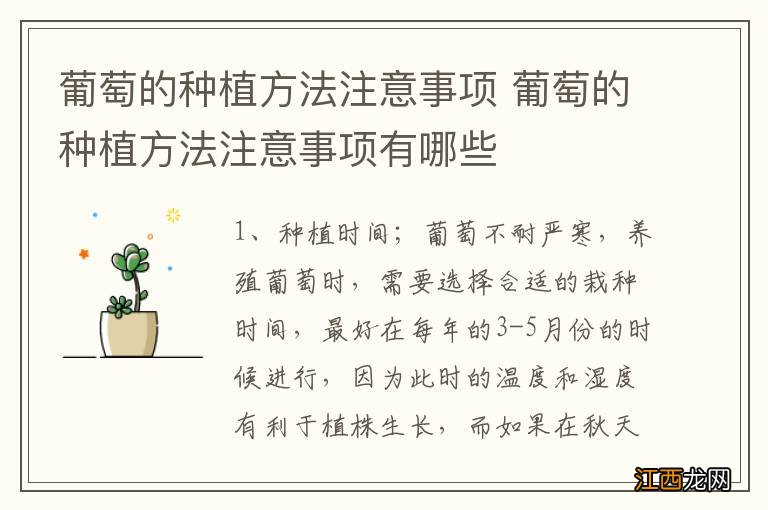 葡萄的种植方法注意事项 葡萄的种植方法注意事项有哪些