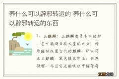 养什么可以辟邪转运的 养什么可以辟邪转运的东西